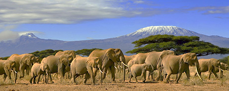 Parque Masai Mara, Quénia