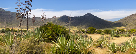 Parque Natural Cabo de Gata