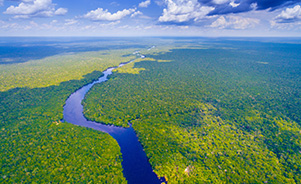 Mato Grosso do Sul